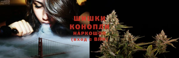 прущие крисы Вяземский