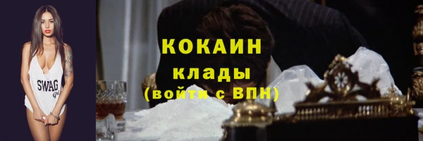 прущие крисы Вяземский
