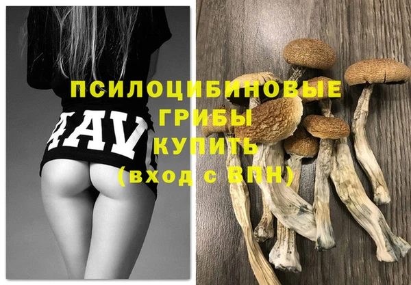 синтетический гашиш Вязьма