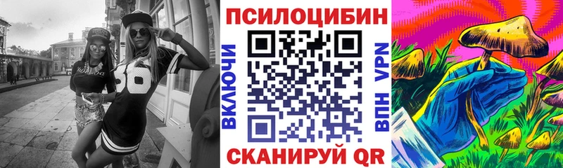 цены   Новомосковск  Галлюциногенные грибы мицелий 